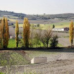 Antiguedad paisaje 2