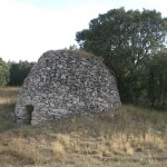 tuerto1 tuerto1
