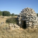 valdentina valdentina